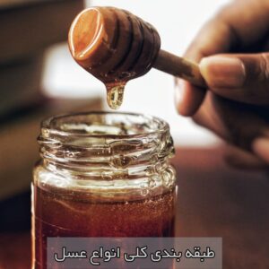 🧭 طبقه بندی کلی «انواع عسل»