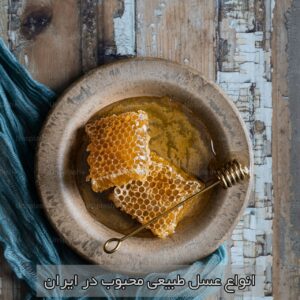 🍯 انواع عسل طبیعی محبوب در ایران