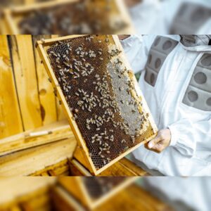 👶 آیا خوردن عسل با موم برای کودکان مناسب است؟