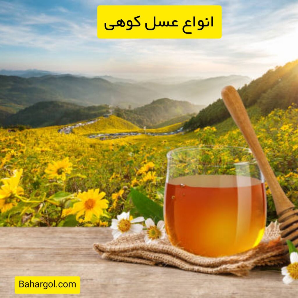 انواع عسل کوهی وحشی و طبیعی کوهستان در یک نگاه