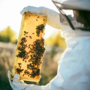 تغییر ترکیبات عسل به علت فرآوری، حرارت یا نگهداری بد