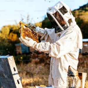 چرا زنبوردارها از تغذیه کمکی استفاده می کنند؟