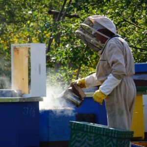 💰 تعرفه و قیمت ها؛ هزینه آزمایش عسل در آزمایشگاه