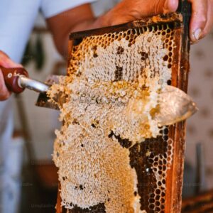 ابزارها و تجهیزات پیشنهادی برای تشخیص ذخیره عسل 🍯