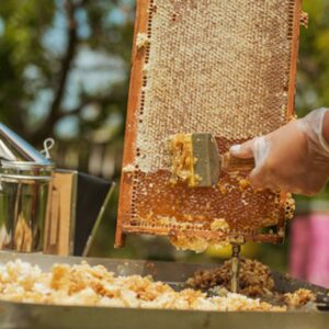 شواهد علمی vs گزارش های سنتی