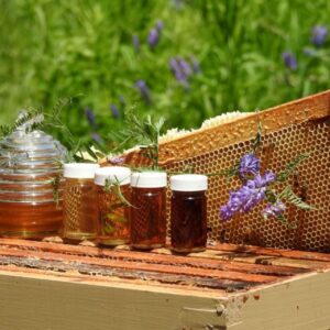 🏁 نتیجه گیری | حرف آخر درباره جدا کردن موم از عسل 🍯