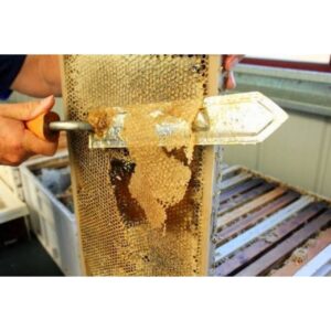 🧩 مشکلات متداول و راه حل ها