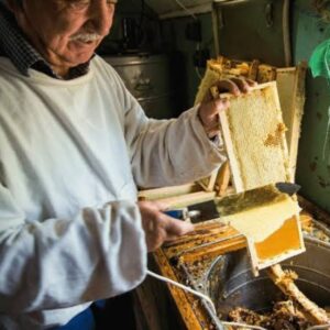 🧤 قبل از شروع: نکات ایمنی و آماده سازی